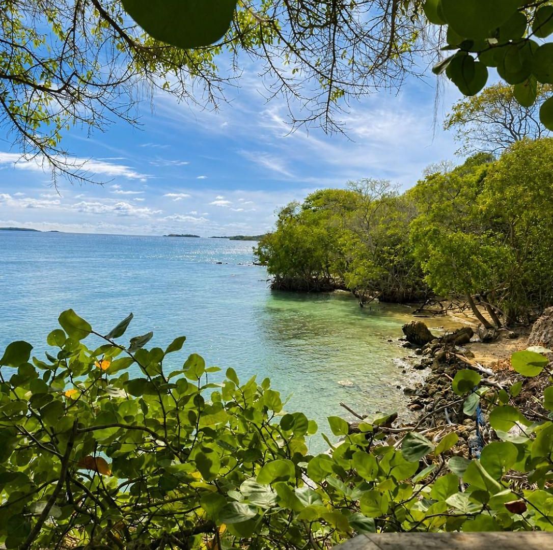 Isla Risa Hotel *